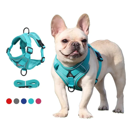 Pecheras Arnés Para Perros Y Gatos Talla S, M Y L